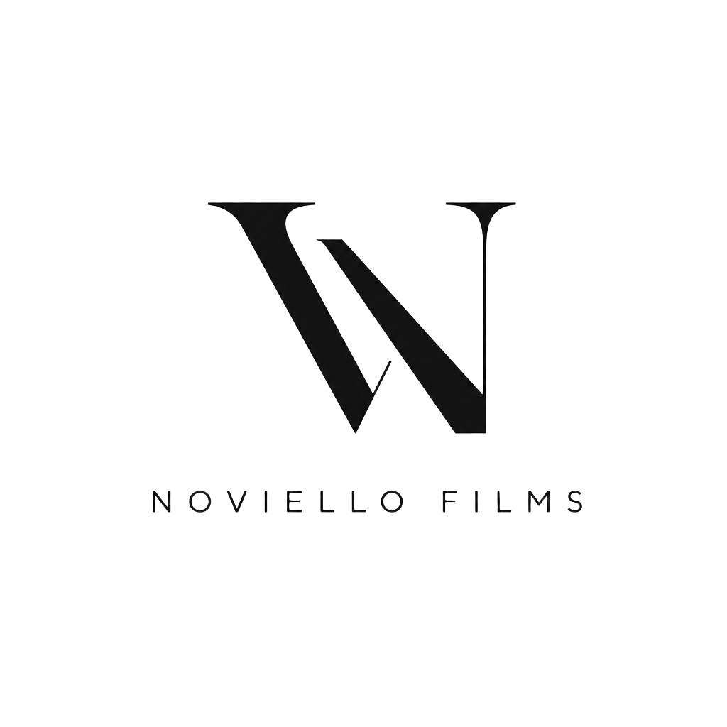 Vicente Noviello logo